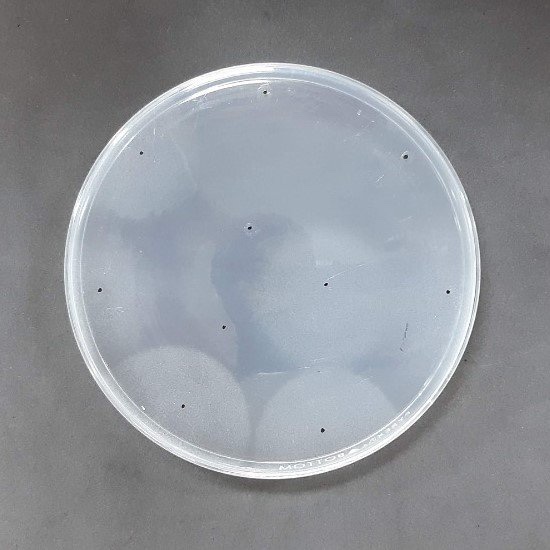 30.jpg.d16c4cdfa8c0587ee0be8fcf7981f628.jpg